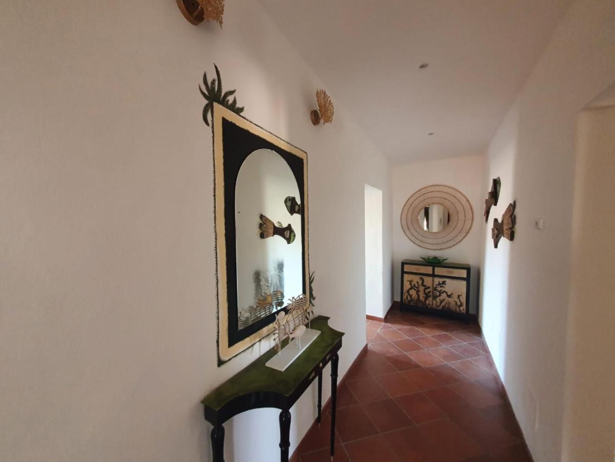 Aquarius Apartment Pisa Dış mekan fotoğraf